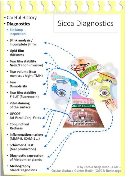 TEXT眼科学 = OPHTHALMOLOGY = TEXT眼科学 OPHTHALMOLOGY